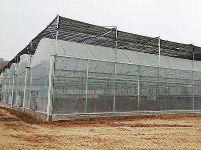 连栋温室