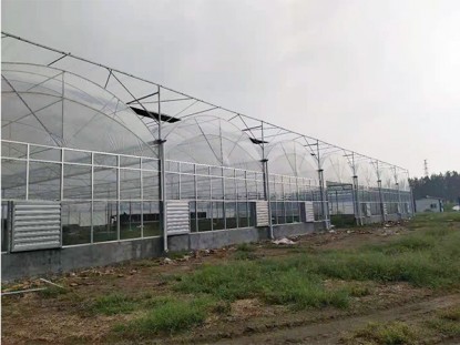 连栋温室